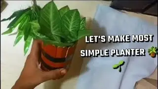 don't throw ice-cream stick. go on collecting it and make the simplest planter 🌿🪴