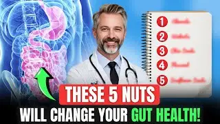 Top 5 Nuts to Boost Gut Health in Seniors | Gut Health