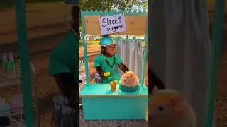 When your dog needs a glow-up! 🐶✨ #DogSurgery #MonkeySurgeon #PetMakeover #ViralVideo #FunnyPets