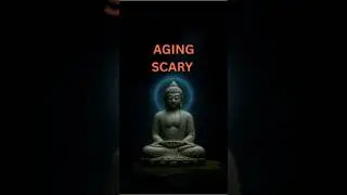 Buddhist Wisdom on Aging with Dignity - buddha stories