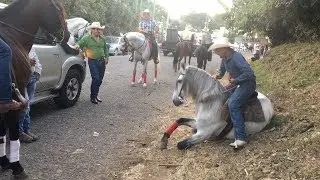 Desfile Hipico De Caballos En La Feria De Quesada 4/4 . #QUESAFER