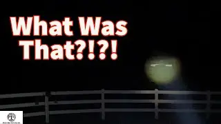 Something Went BUMP In The Night! - Checking The Farm After Dark
