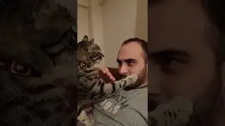 This is your daily dose of cattt