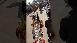 Just Enjoy living ✨ #trending #ytshorts #horseriding #sanchaljain #enjoy #whole.n.soul