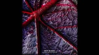 Sicion - Division Orb