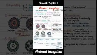 Animal Kingdom 🐬🪼🐌 Class11 Chapter 4 Biology Notes/ one shot revision NEET Zoology #class11