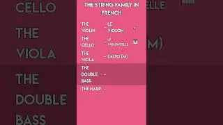 French Musical Instruments: String Family! 🎻 Orchestral Vocabulary