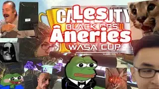 Les &Acirc;neries de la Wasa Cup : &Eacute;dition 1