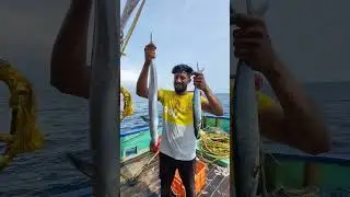 നെയ്മീൻ | king fish 🐟