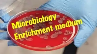 Medical Video Lecture, Microbiology: ENRICHMENT MEDIUM