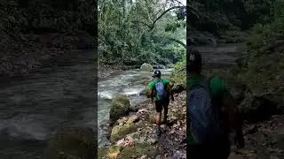 Exploring the deep wild mystic forest bali..... #ngabenareas #bali #nature #beautiful