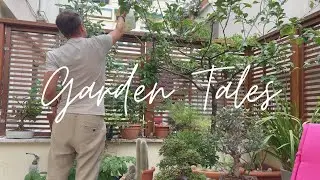 #1 La cura naturale del giardino | Spaghetti aglio olio e peperoncino