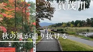 北大路から上賀茂神社へ｜秋の風が通り抜ける（Kyoto Autumn Walk）