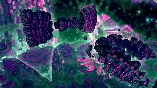 EUAO (Segment 2)
