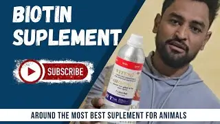 Benifit of Vitamin H / Biotin suplement for dogs ..