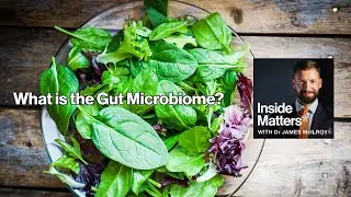What is the Microbiome and How Does it Relate to Your Health? | Biome Bites 3