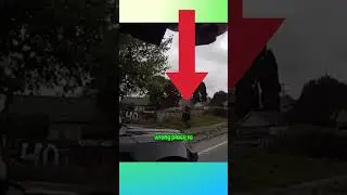 This is why you should obey to the POLICE  in USA?