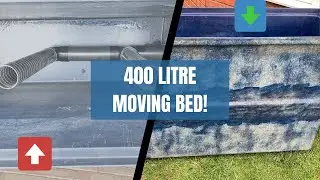 400 litre DIY koi pond moving bed