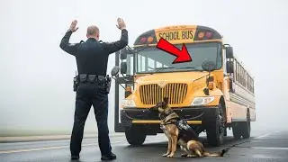 A K9 Dog Stopped a School Bus During Patrol. Everyone Was Shocked When They Found Out Why