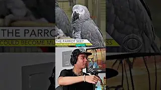 Parrot revealed the M*rderer 🤯