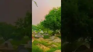 لمحہ فکریہ ! ❤ || #reelsfypシ#islamicvideo #shortvideo #islam #deeneislam #ytshorts #trending #viral