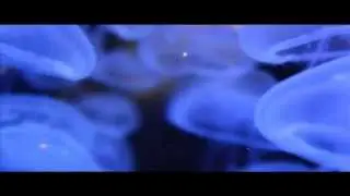 Daniel Cherney - You ft. Marie Bashiru