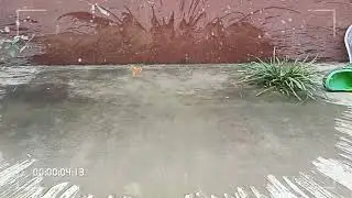 Slow motion of piercing a water balloon