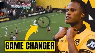 Why Wolves WILL survive this season 