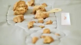A night at the museum with a Neanderthal skeleton
