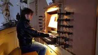 Passacaglia - D. Buxtehude - Treutmann organ Goslar