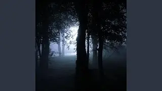 track 10 (slowed)
