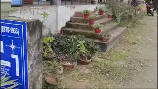 Clean school campus/Green school campus