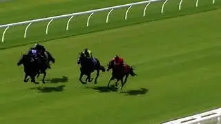 Ellerslie Jumpout Heats - Monday, 25 March, Heat 15: Open 1000 (Round Cones)
