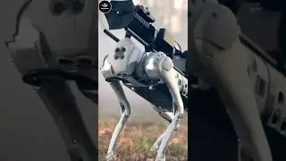 China's Robodog Army | Robot Dog