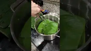 Don't throw your banana tree leaves away! #bananaleaf#tamales#garden#homestead#sustainable#cooking