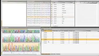 More features available in the Alignment window (BioNumerics 7)