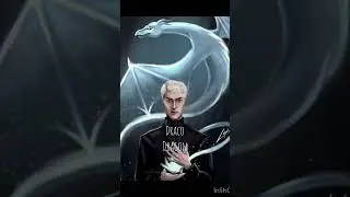 Harry potter characters Patronus!