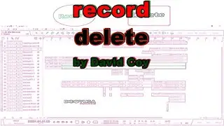Record delete