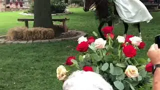 Beautiful Wedding Entrance by Bride and her Horse