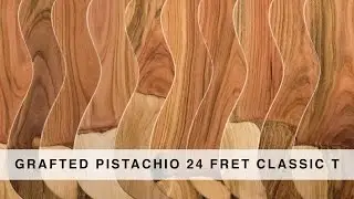 SUHR 2015 COLLECTION - GRAFTED PISTACHIO 24 FRET CLASSIC T
