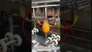 Automatic Papaya Peeling Machine &mdash; Smart Fruit Processing Innovation!.