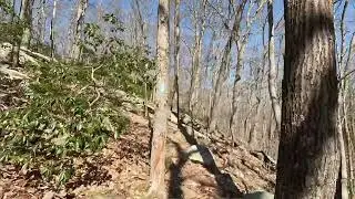 Paugussett State Forest