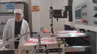 KFC Paper Box Roll Die Cutting Creasing Machine working in Peru