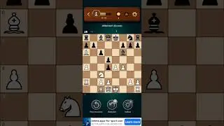 chess but grandmaster vs biginer