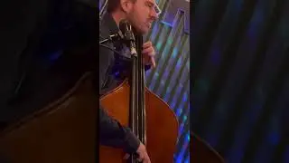 Big River Grateful Dead Matt Hartle Gold CalKucky Band 12/28/25 #bass #gratefuldead #jam #Bluegrass