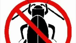 Pest Control Yuma AZ - (888) 458-0008