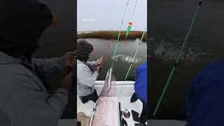 23&rdquo; slot red caught on live minnows