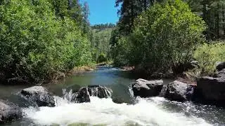 Aspen Campground - Black River Arizona