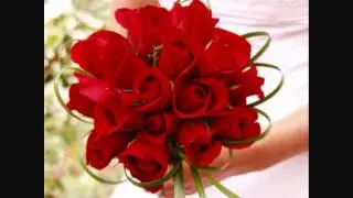 Caetano Veloso & Henry Salvador - Cherche La Rose