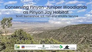 Conserving Pinyon-Juniper Woodlands as Pinyon Jay Habitat